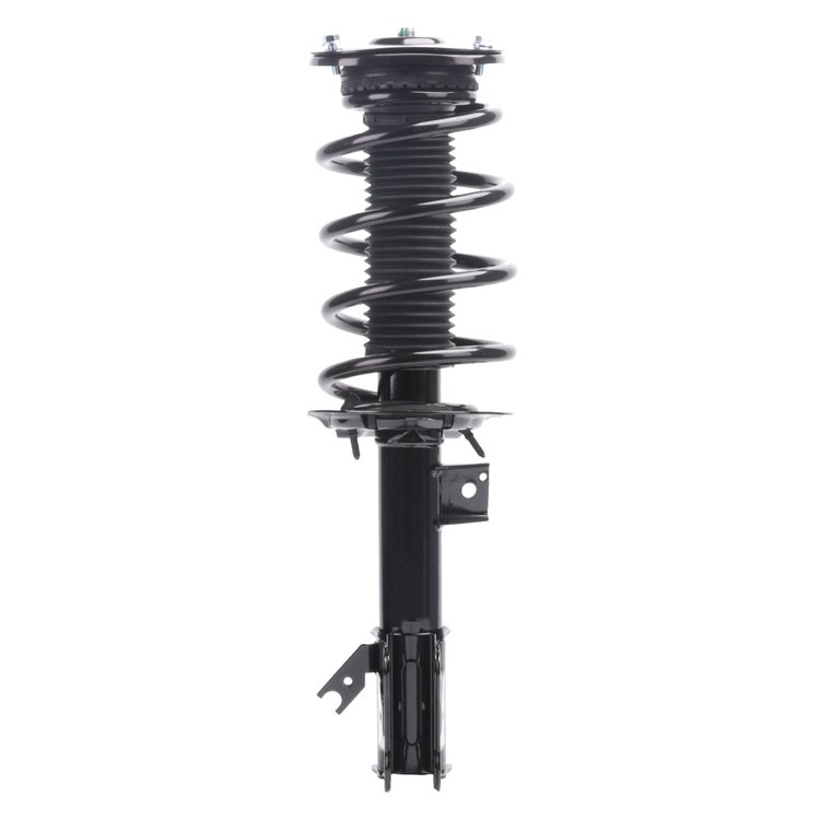 Strut Assembly