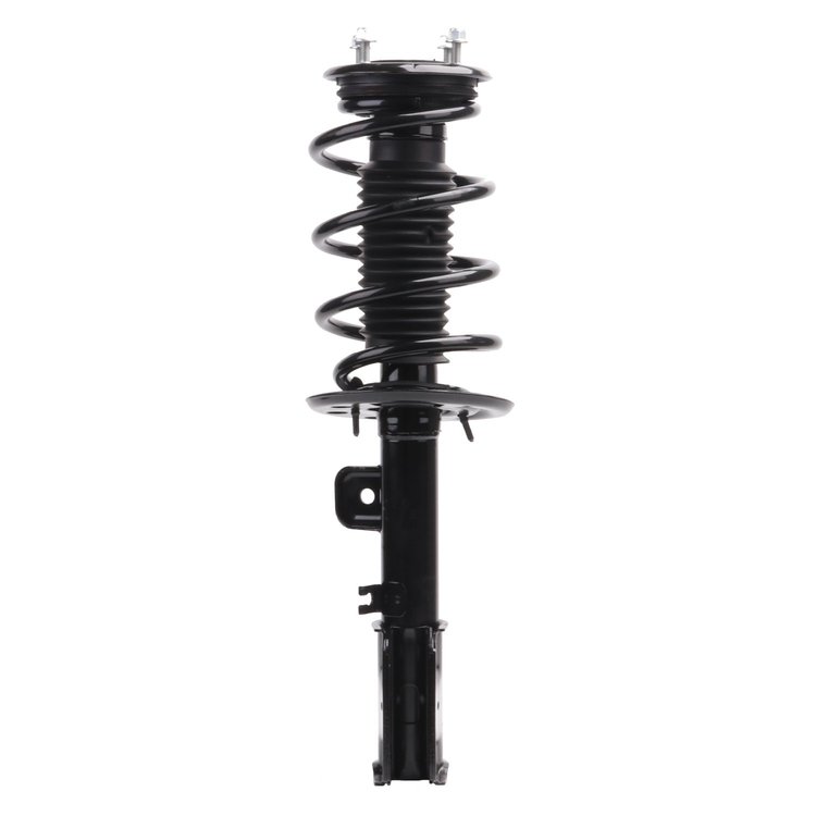 Strut Assembly