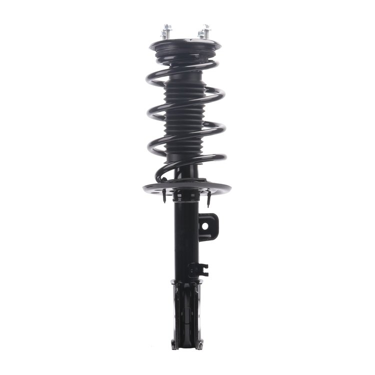 Strut Assembly