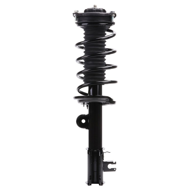 Strut Assembly