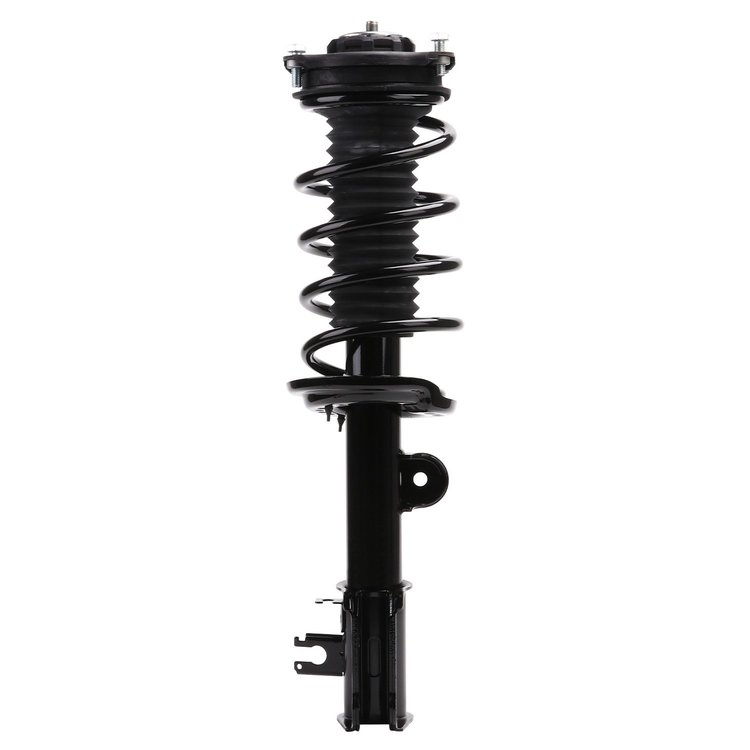 Strut Assembly
