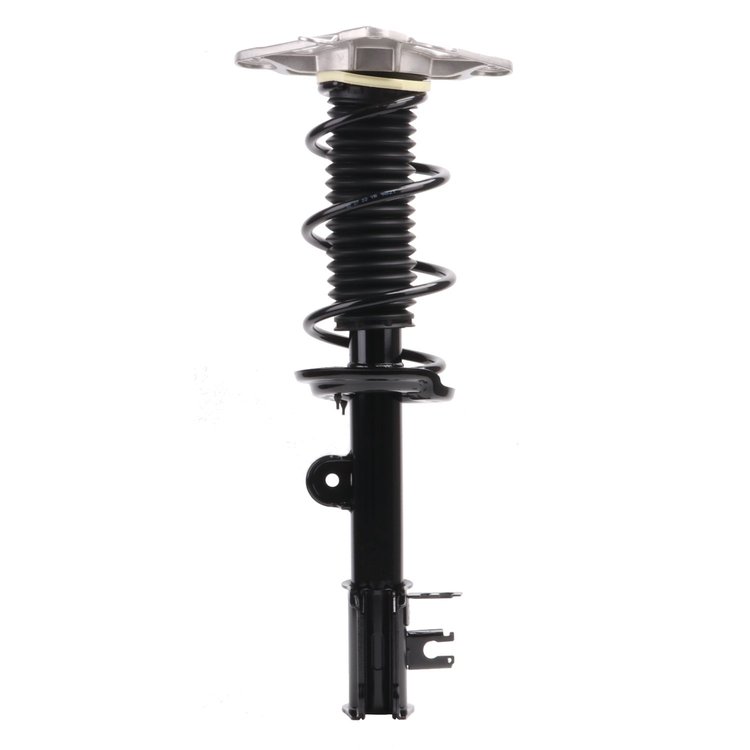 Strut Assembly