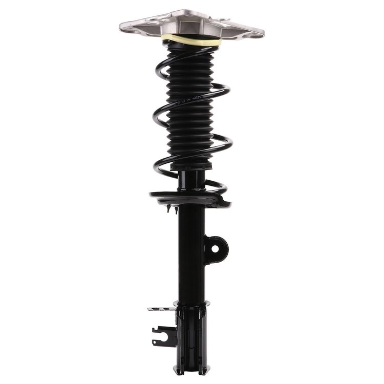 Strut Assembly