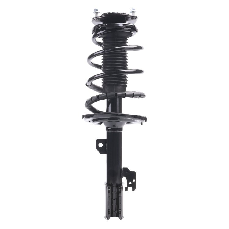 Strut Assembly