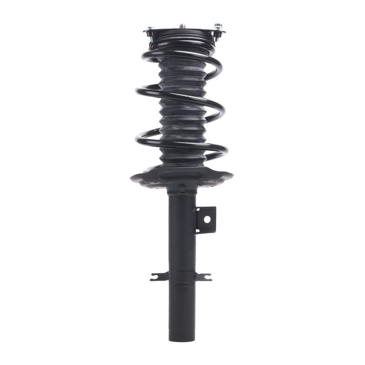 Strut Assembly