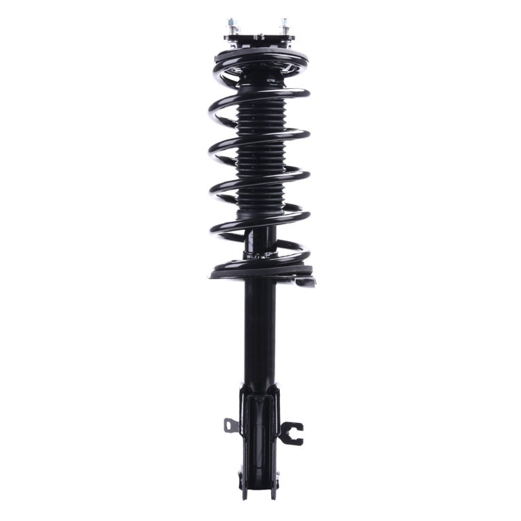Strut Assembly