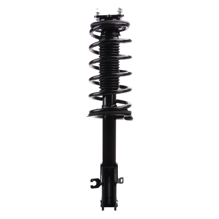 Strut Assembly