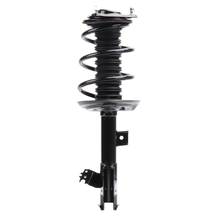 Strut Assembly