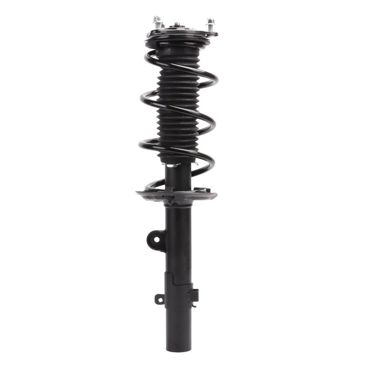 Strut Assembly