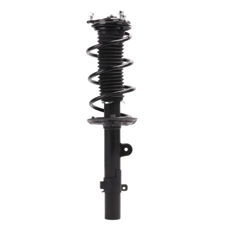 Strut Assembly