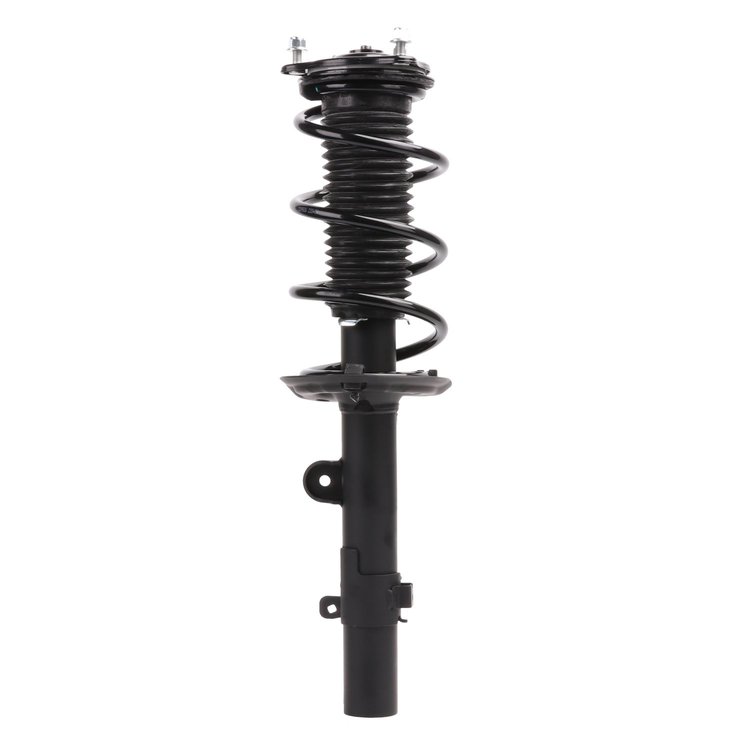 Strut Assembly
