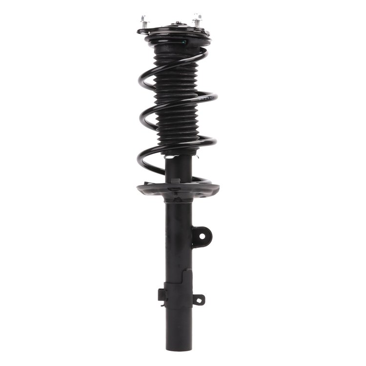 Strut Assembly