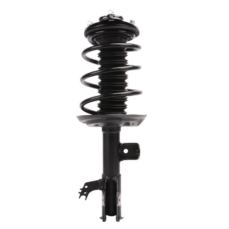 Strut Assembly