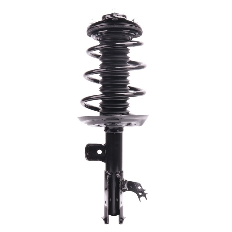 Strut Assembly