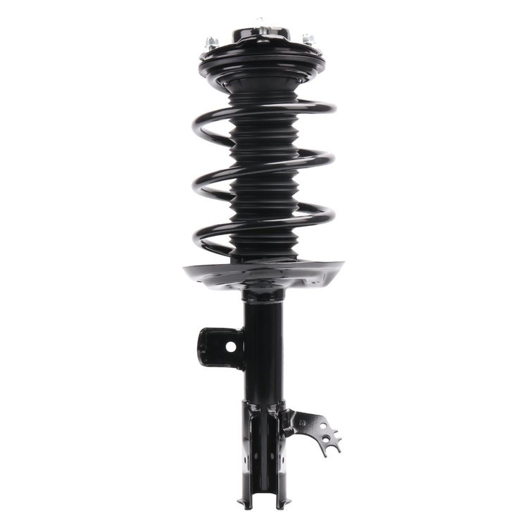 Strut Assembly