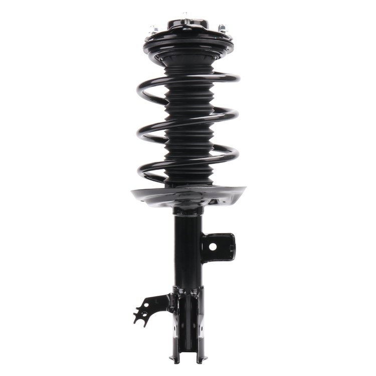 Strut Assembly
