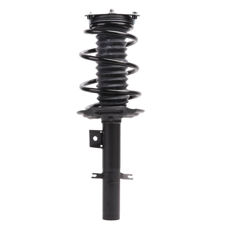 Strut Assembly