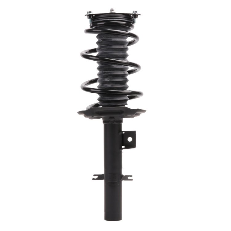 Strut Assembly
