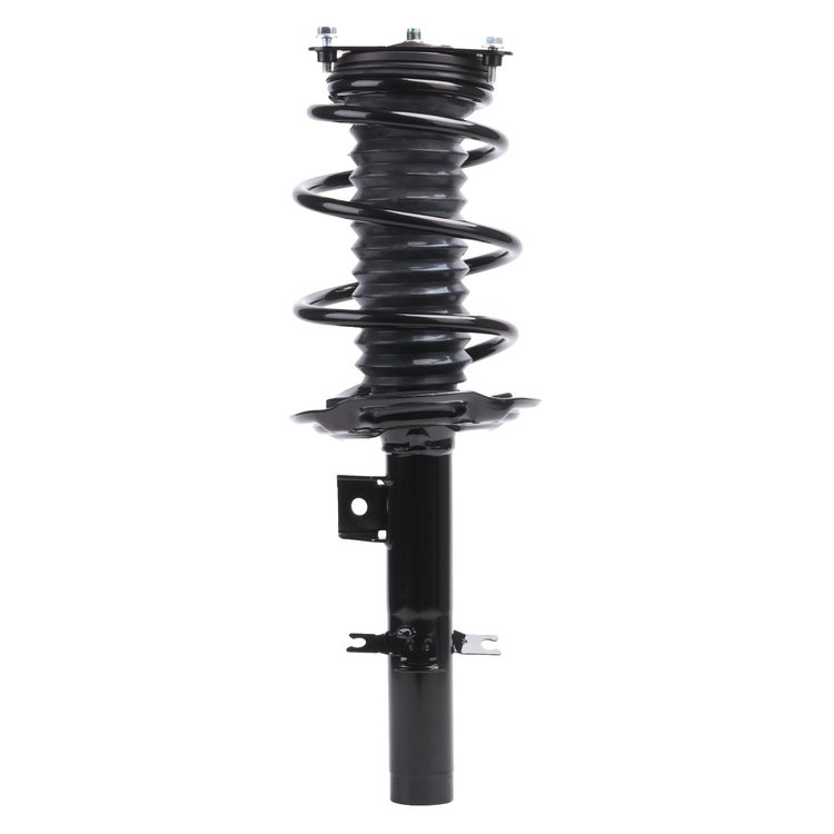 Strut Assembly