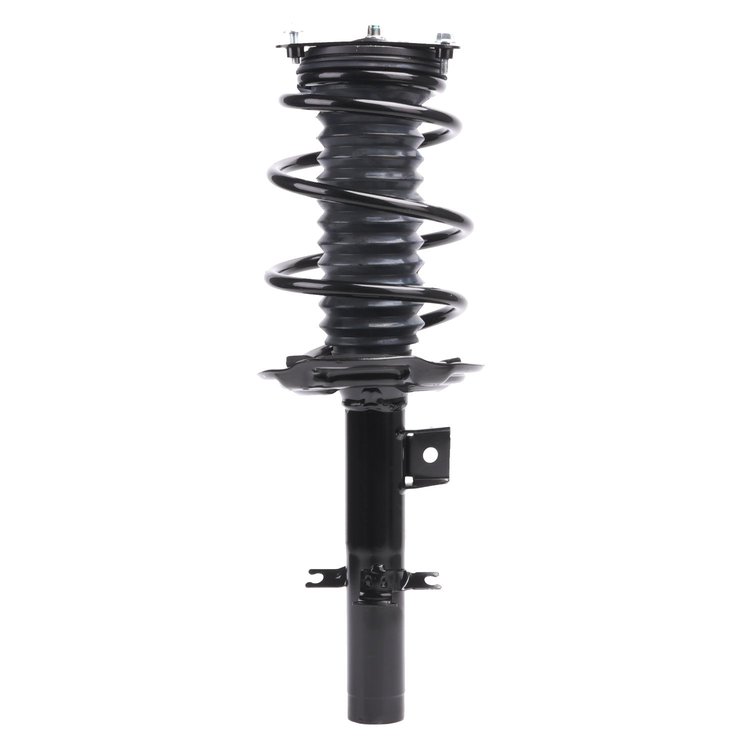Strut Assembly