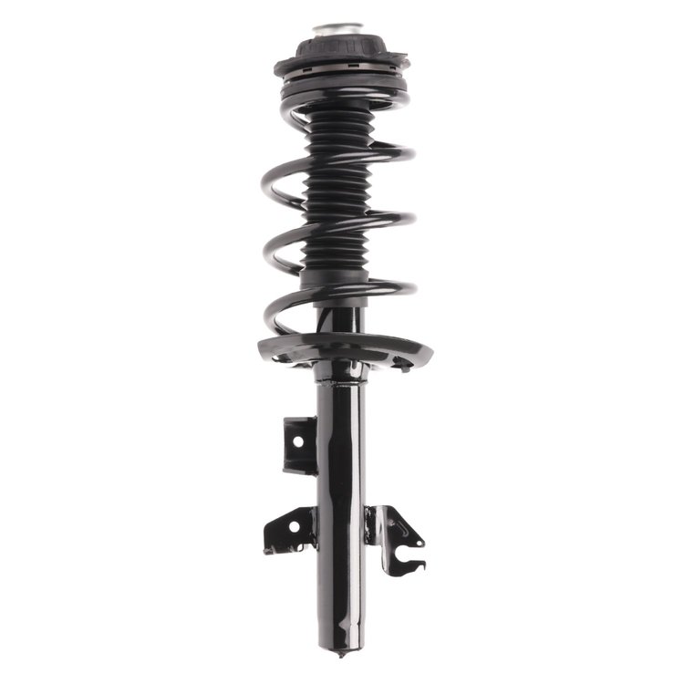 Strut Assembly