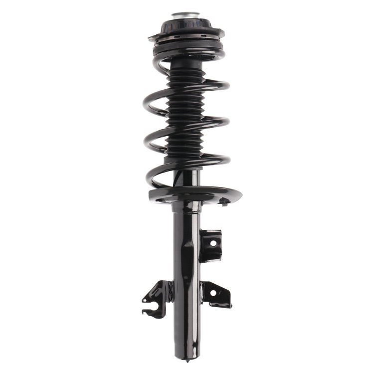 Strut Assembly