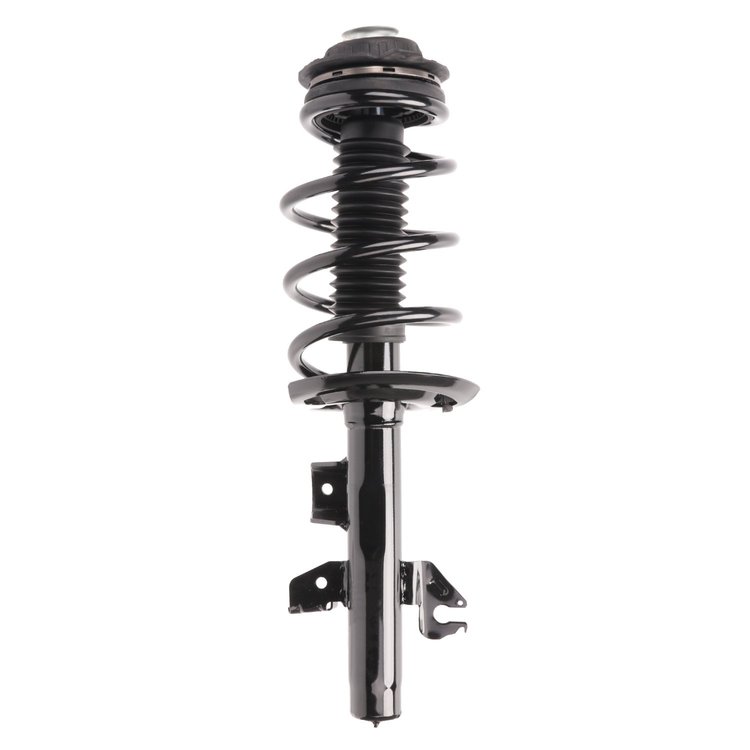 Strut Assembly