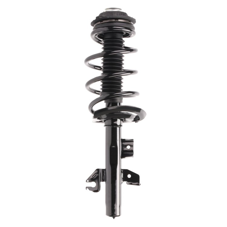 Strut Assembly