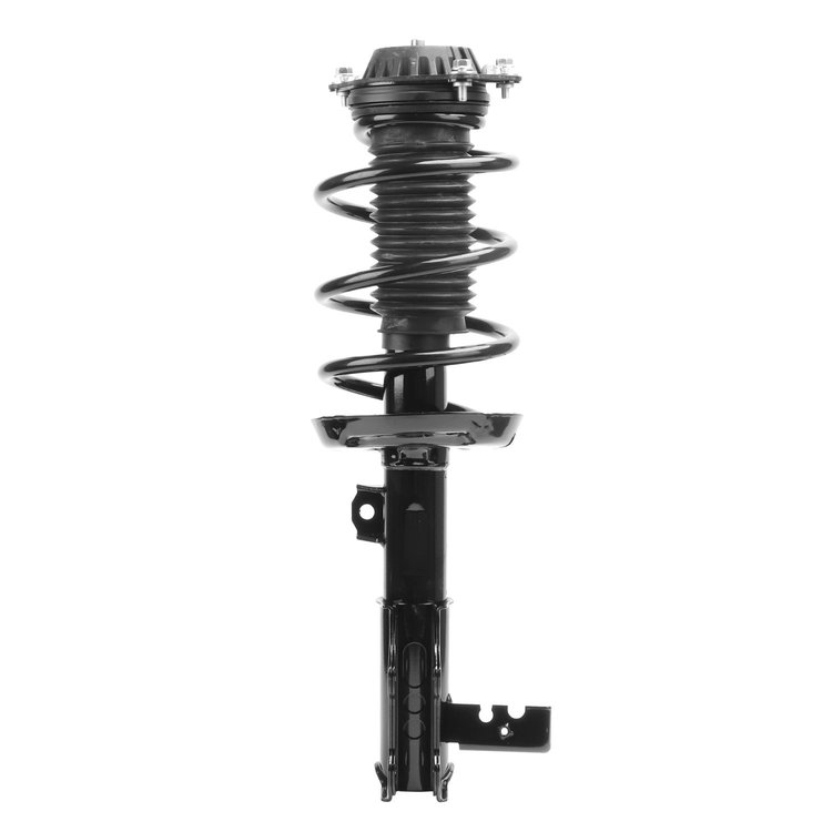Strut Assembly