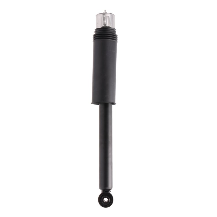 Strut Assembly