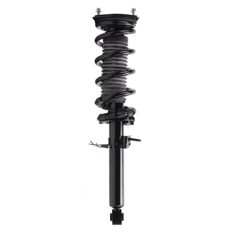 Strut Assembly