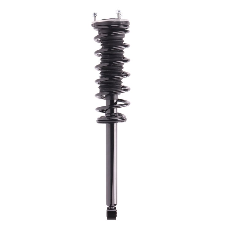 Strut Assembly
