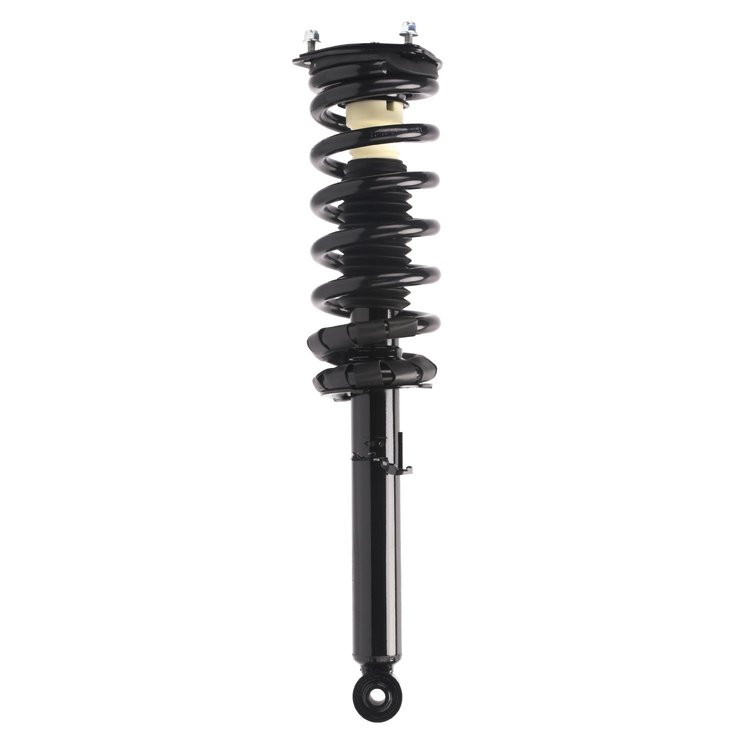 Strut Assembly