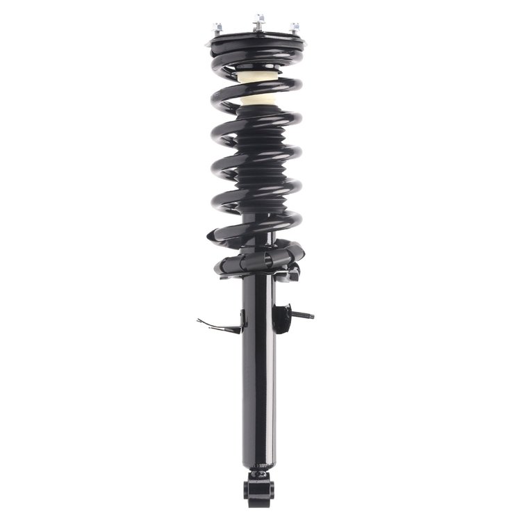 Strut Assembly