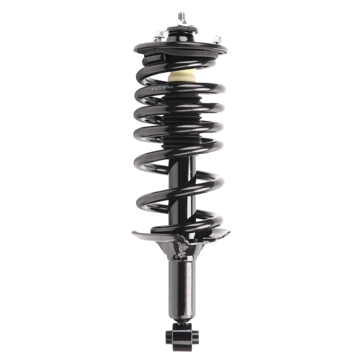 Strut Assembly