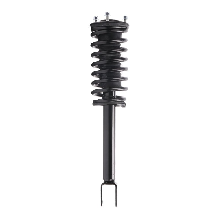 Strut Assembly