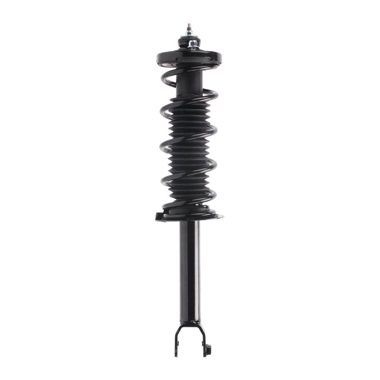 Strut Assembly