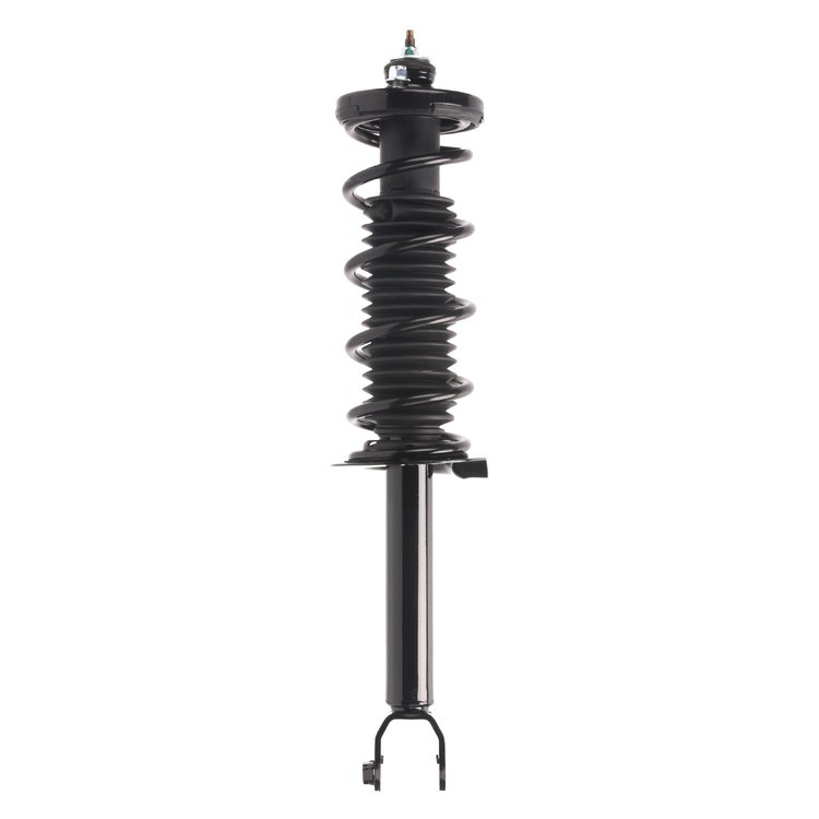 Strut Assembly