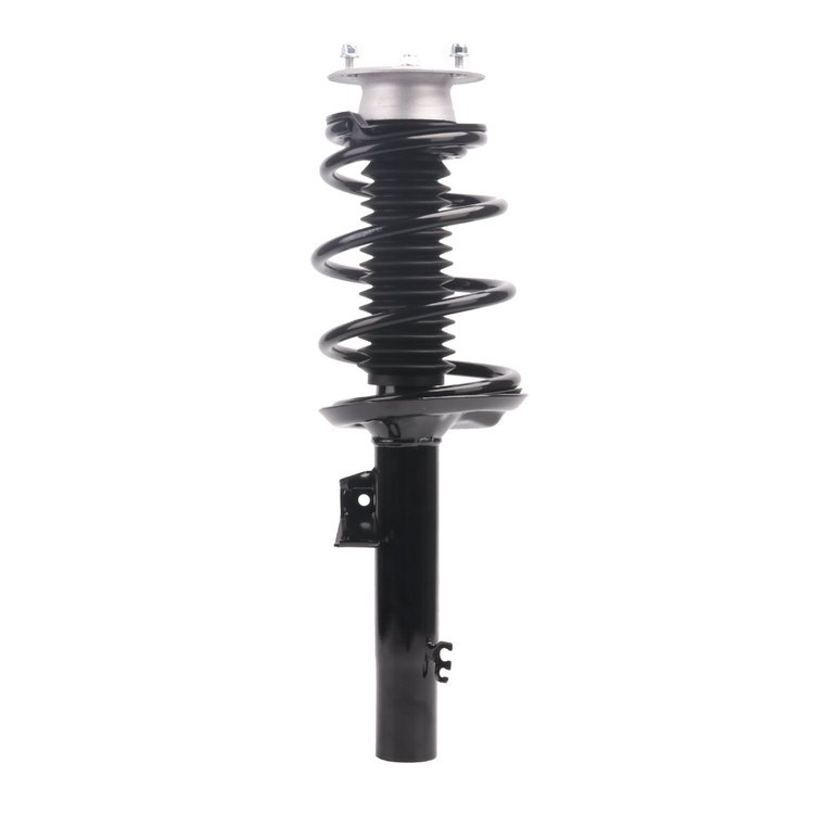 Strut Assembly