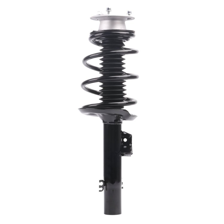 Strut Assembly