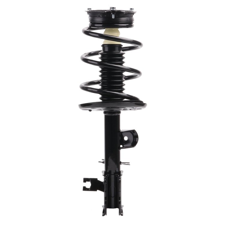 Strut Assembly