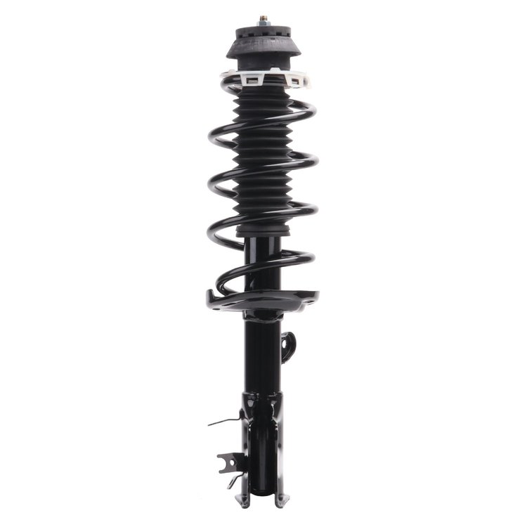 Strut Assembly