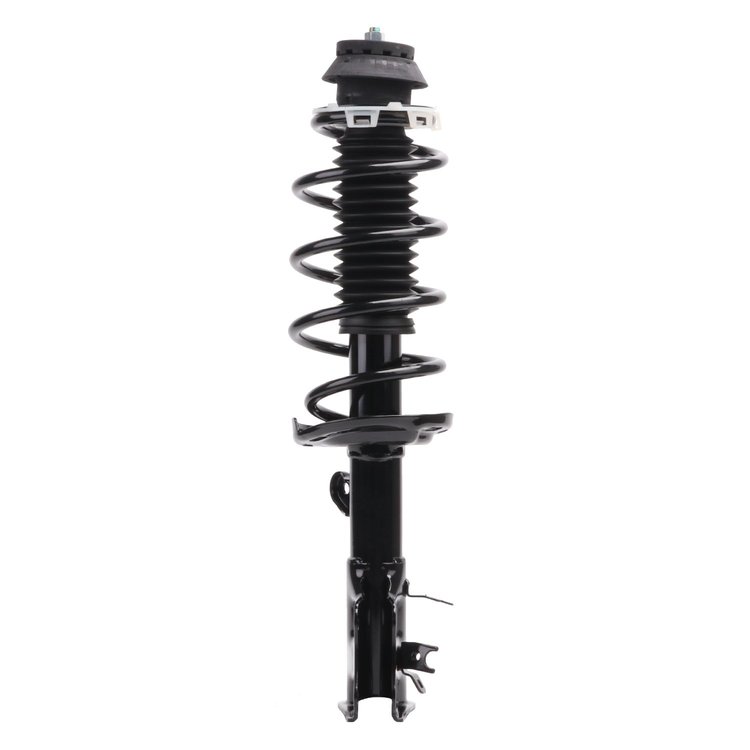 Strut Assembly