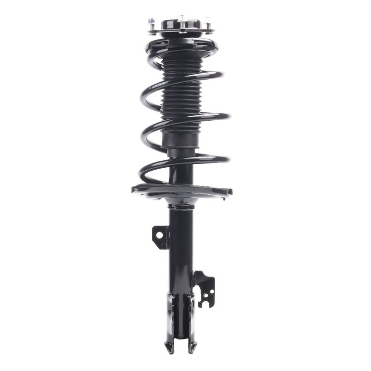Strut Assembly