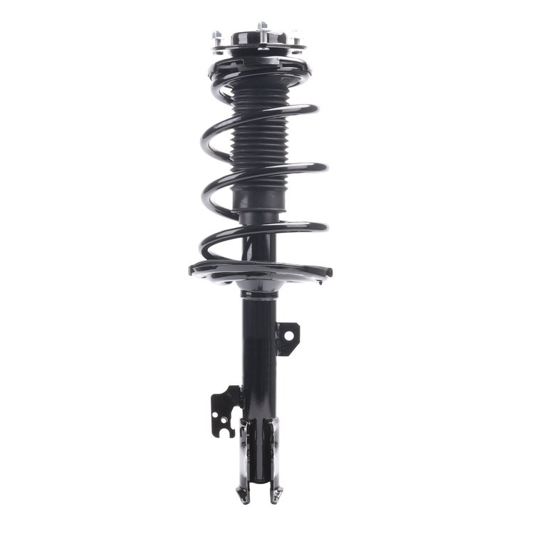 Strut Assembly