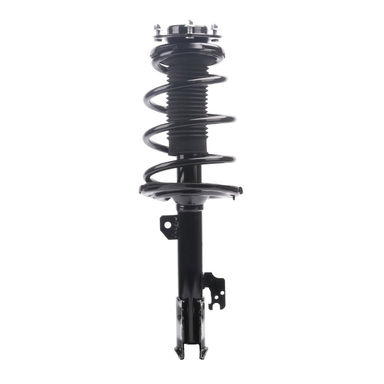 Strut Assembly