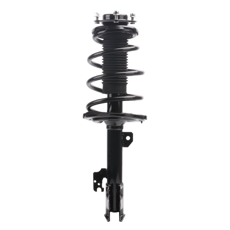 Strut Assembly
