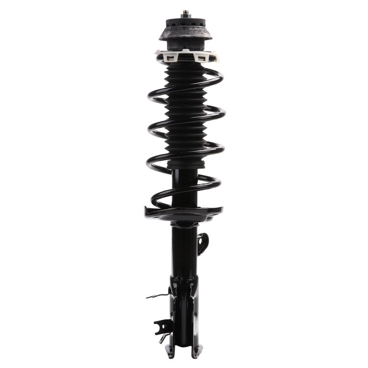 Strut Assembly