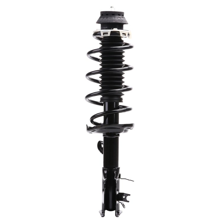 Strut Assembly