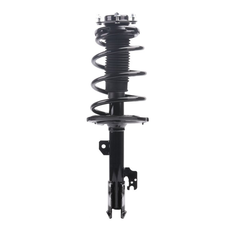 Strut Assembly